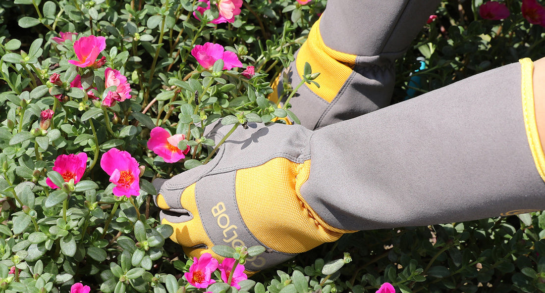 Fall Yard Cleanup Checklist: 7 Essential Steps to Prepare Your Garden for Winter