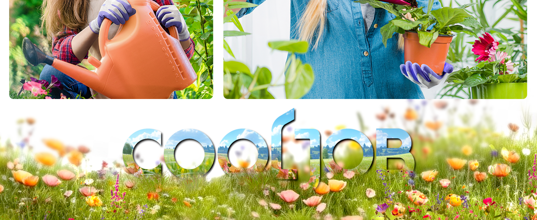 Welcome to the COOLJOB Rewards Club: Premium Protection, Exclusive Perks!
