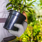 COOLJOB 12/60/120 Pairs Safety Work Gloves Pack Bulk with Grip PU Coating（Grey）