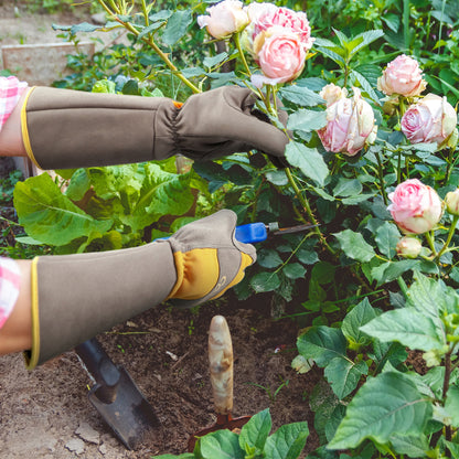 COOLJOB Thorn Proof Rose Pruning Garden Gloves, Longer Sleeve, Puncture Resistant (Orange)