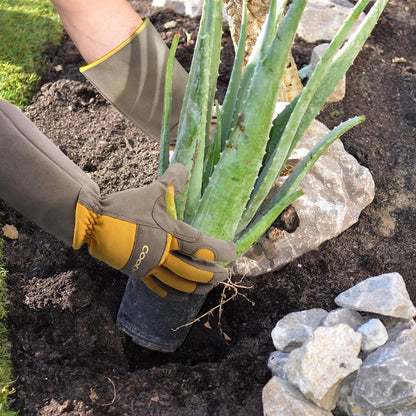 COOLJOB Thorn Proof Rose Pruning Garden Gloves, Longer Sleeve, Puncture Resistant (Orange)